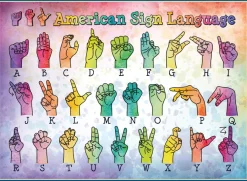 Cobble Hill American Sign Language | 500 Piece- 500 Piece | Collage - Variety