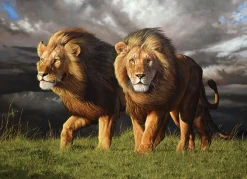Cobble Hill Approaching Storm | 1000 Piece- 1000 Piece | Wildlife