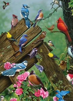 Cobble Hill Birds of the Forest | 1000 Piece- 1000 Piece | Mountainscape
