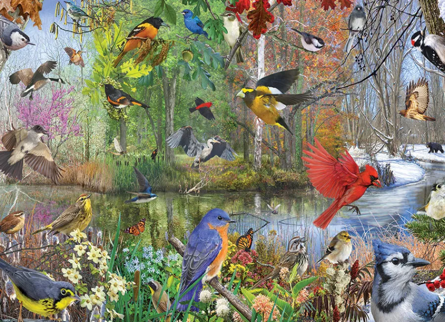 Cobble Hill Birds of the Season | 1000 Piece- 1000 Piece | Countryscape
