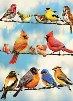 Cobble Hill Birds on a Wire | 500 Piece- 500 Piece | Birds