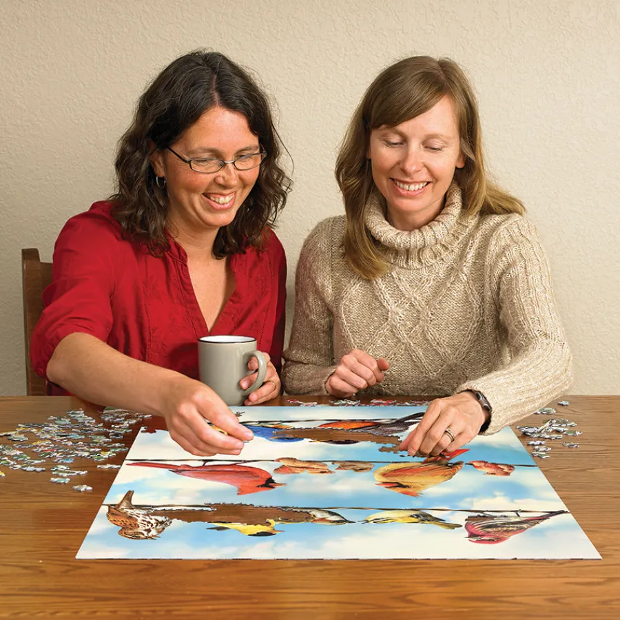 Cobble Hill Birds on a Wire | 500 Piece- 500 Piece | Birds