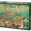 Cobble Hill Brook Trout | 1000 Piece- 1000 Piece | Waterscape