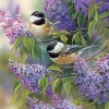Cobble Hill Chickadee Duo (tray) | 35 Piece Tray- Tray Puzzles | Birds