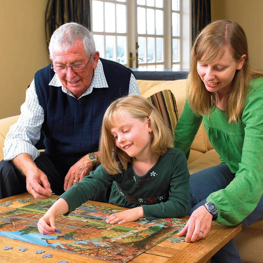 Cobble Hill Cottage Pond (Family) | Family Pieces 350- Family Pieces 350 | Countryscape