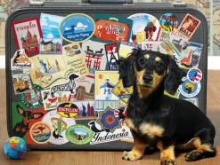 Cobble Hill Dachshund Round the World | Discontinued 500 Piece (Old Big Box)- 500 Piece | Travel Inspiration