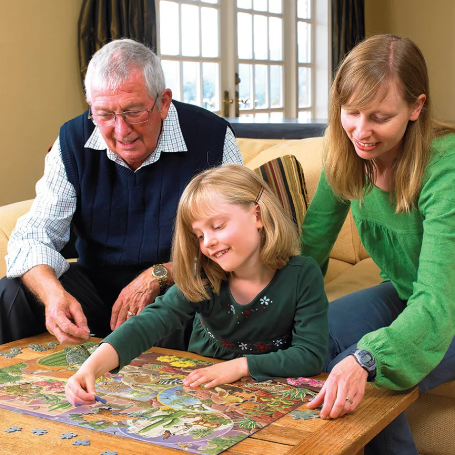 Cobble Hill Desert Magic (Family) | Family Pieces 350- Family Pieces 350 | Aquatic