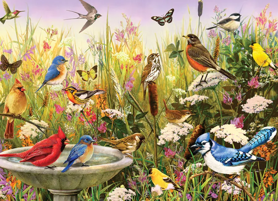 Cobble Hill Feathered Friends | 1000 Piece- 1000 Piece | Birds