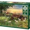 Cobble Hill Field at Sunrise | 1000 Piece- 1000 Piece | Countryscape