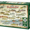 Cobble Hill Freshwater Fish of North America | 1000 Piece- 1000 Piece | Waterscape