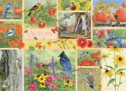Cobble Hill Garden Birds in Autumn | 500 Piece- 500 Piece