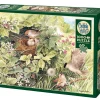 Cobble Hill Hidden Nest | 1000 Piece- 1000 Piece | Birds
