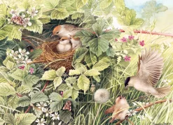 Cobble Hill Hidden Nest | 1000 Piece- 1000 Piece | Birds