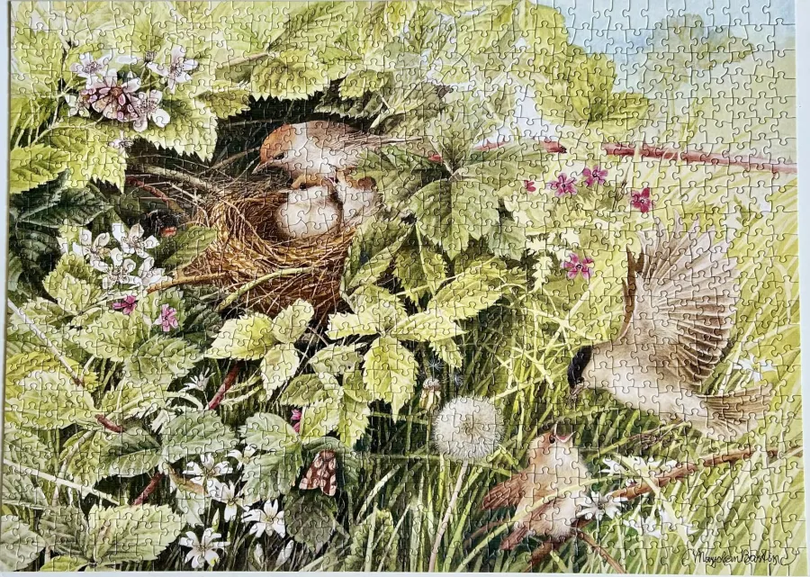Cobble Hill Hidden Nest | 1000 Piece- 1000 Piece | Birds