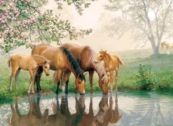 Cobble Hill Horse Family (Family) | Family Pieces 350- Family Pieces 350 | Horses
