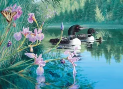 Cobble Hill Iris Cove Loons | 500 Piece- 500 Piece | Mountainscape