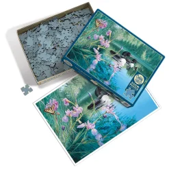 Cobble Hill Iris Cove Loons | 500 Piece- 500 Piece | Mountainscape