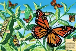 Cobble Hill Life Cycle of a Monarch Butterfly (Floor 48pc)- Floor Puzzles