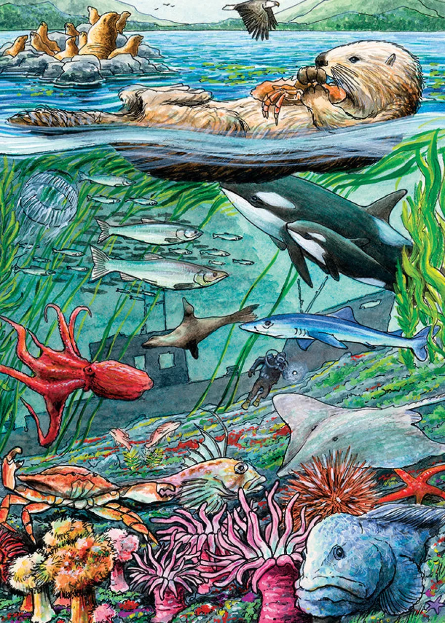 Cobble Hill Life on the Pacific Ocean (tray) | 35 Piece Tray- Tray Puzzles | Birds