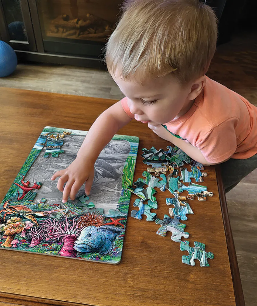 Cobble Hill Life on the Pacific Ocean (tray) | 35 Piece Tray- Tray Puzzles | Birds