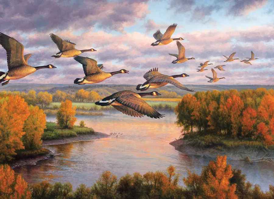 Cobble Hill Migration | 1000 Piece- 1000 Piece | Waterscape