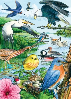 Cobble Hill North American Birds (tray) | 35 Piece Tray- Tray Puzzles | Mountainscape
