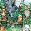 Cobble Hill North American Owls (tray) | 35 Piece Tray- Tray Puzzles | Mountainscape