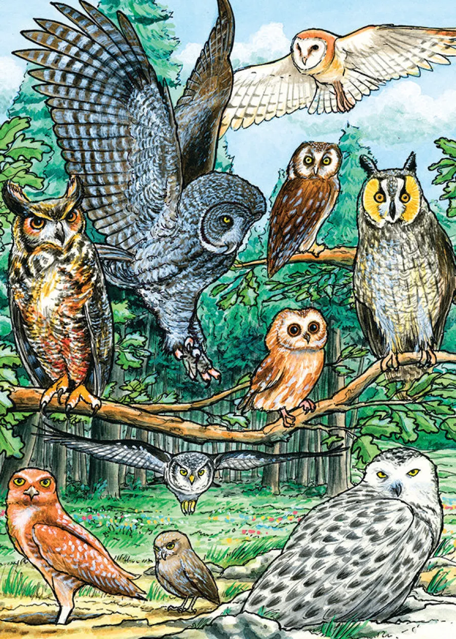 Cobble Hill North American Owls (tray) | 35 Piece Tray- Tray Puzzles | Mountainscape
