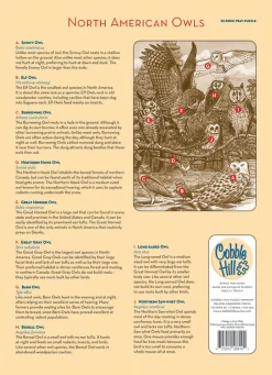 Cobble Hill North American Owls (tray) | 35 Piece Tray- Tray Puzzles | Mountainscape