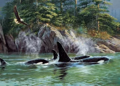 Cobble Hill Orcas | 1000 Piece- 1000 Piece | Waterscape