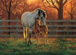 Cobble Hill Quiet Time | 500 Piece- 500 Piece | Horses