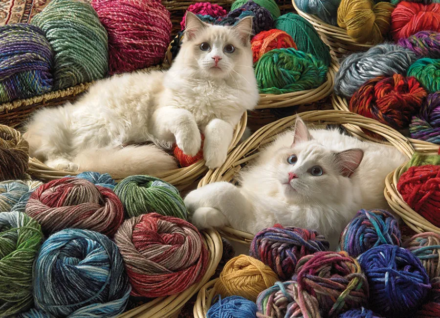 Cobble Hill Ragdolls | 1000 Piece- 1000 Piece | Cats