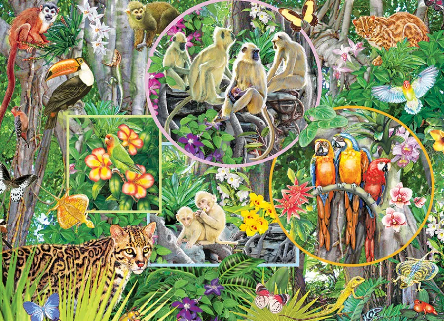 Cobble Hill Rainforest Magic (Family) | Family Pieces 350- Family Pieces 350 | Birds