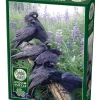 Cobble Hill Raven Rendezvous | 1000 Piece- 1000 Piece | Countryscape