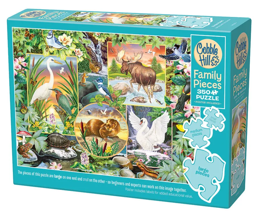 Cobble Hill River Magic (Family) | Family Pieces 350- Family Pieces 350 | Aquatic