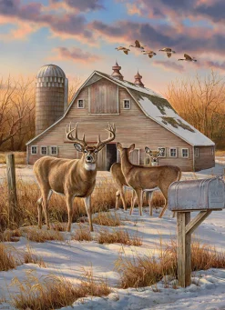 Cobble Hill Rural Route | 1000 Piece- 1000 Piece | Countryscape