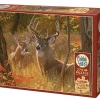Cobble Hill Secret Rendezvous | Easy Handling 275 Piece- Easy Handling 275 | Mountainscape