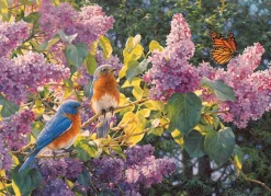 Cobble Hill Spring Interlude | 500 Piece- 500 Piece | Birds