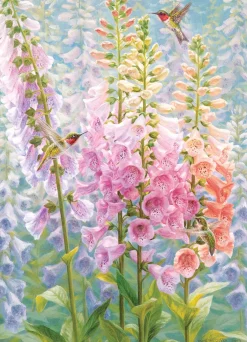 Cobble Hill Summer Rainbow | 500 Piece- 500 Piece | Birds