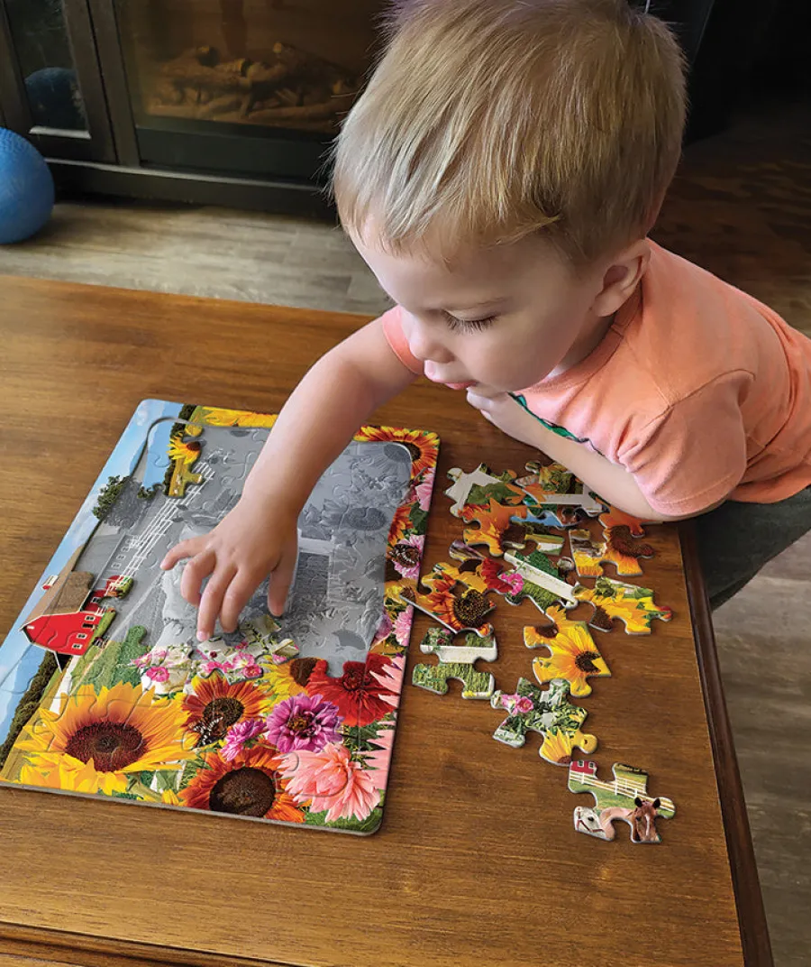 Cobble Hill Sunshine Farm (tray) | 35 Piece Tray- Tray Puzzles