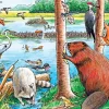 Cobble Hill The Beaver Pond (tray) | 35 Piece Tray- Tray Puzzles | Wildlife