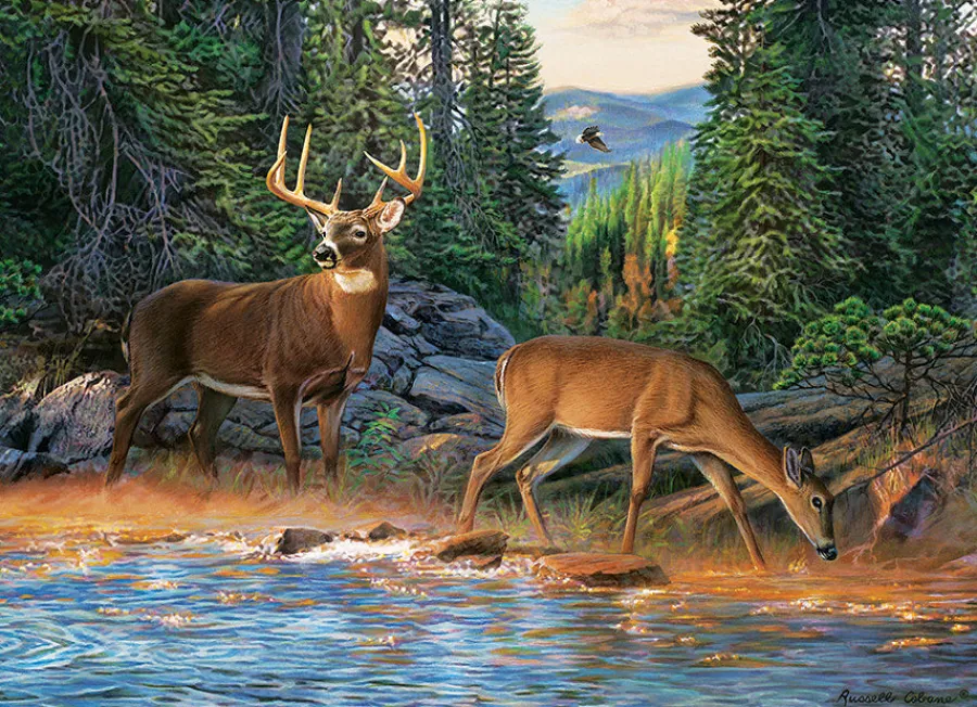 Cobble Hill The River's Edge | 1000 Piece- 1000 Piece | Mountainscape