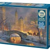 Cobble Hill Winter in the Park | 500 Piece- 500 Piece | Waterscape